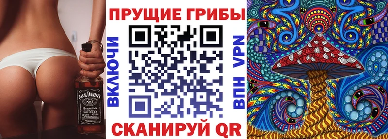 Псилоцибиновые грибы Cubensis  Сосновка 